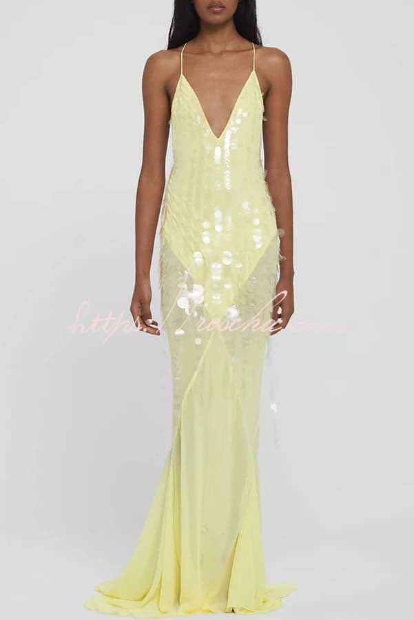 Perfect Night Sequin Embroidery Backless Drape Tulle Hem Slip Maxi Dress