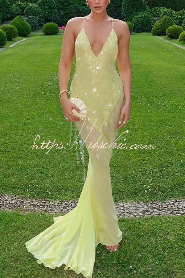 Perfect Night Sequin Embroidery Backless Drape Tulle Hem Slip Maxi Dress