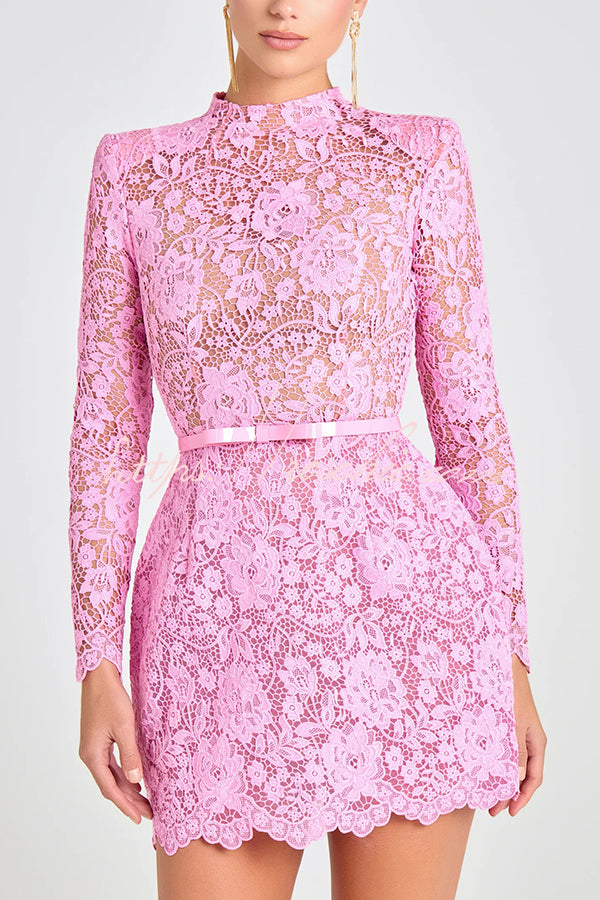 Champagne Toast Flower Lace Long Sleeve Bow Belted Mini Dress roschic Champagne Toast Flower Lace Long Sleeve Bow Belted Mini Dress roschic