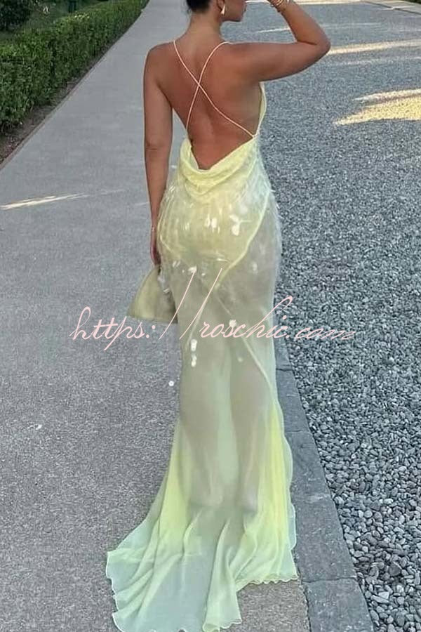 Perfect Night Sequin Embroidery Backless Drape Tulle Hem Slip Maxi Dress