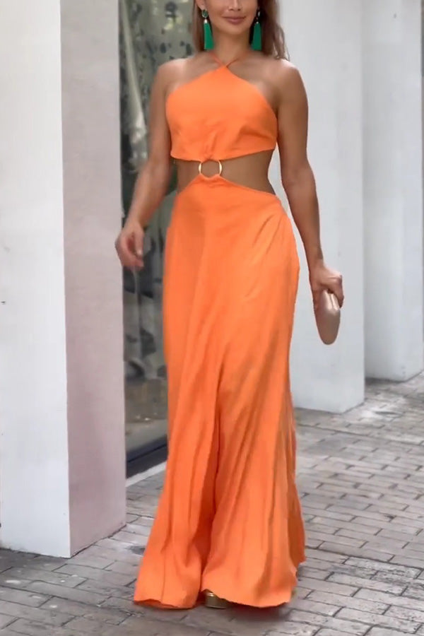 Sexy Halter Neck Backless Sleeveless Maxi Dress roschic Sexy Halter Neck Backless Sleeveless Maxi Dress roschic