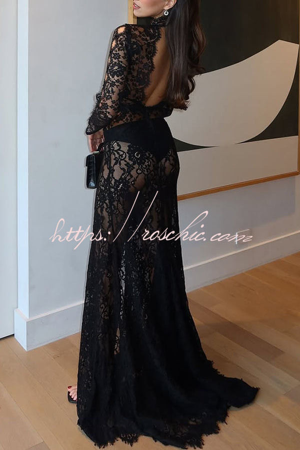 Dark Night Charm Sheer Lace Cutout Long Sleeve Stretch Maxi Dress roschic Dark Night Charm Sheer Lace Cutout Long Sleeve Stretch Maxi Dress roschic