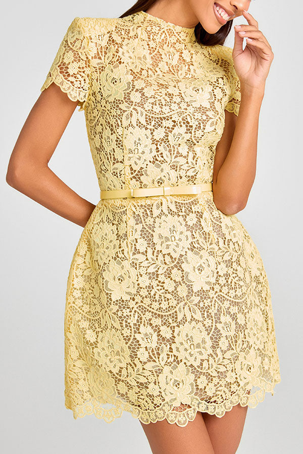 Women's Mini Dress Lace Dress Sheath Dress Elegant Fashion Modern Daily Vacation Going out Regular Fit Floral Plain Short Sleeve Crew Neck Yellow Women's Mini Dress Lace Dress Sheath Dress Elegant Fashion Modern Daily Vacation Going out Regular Fit Floral Plain Short Sleeve Crew Neck Yellow