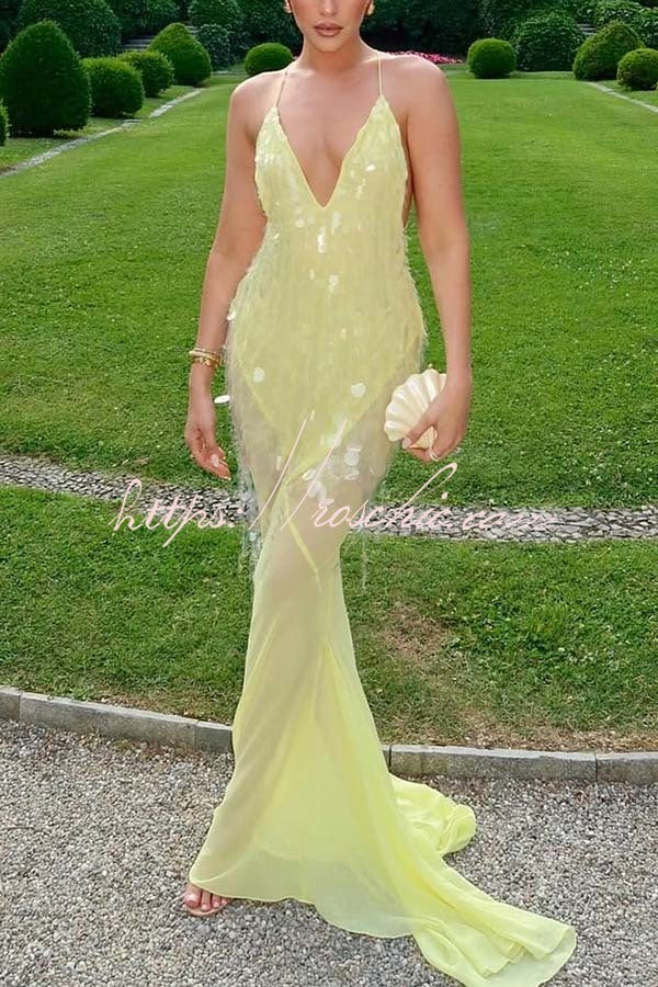 Perfect Night Sequin Embroidery Backless Drape Tulle Hem Slip Maxi Dress