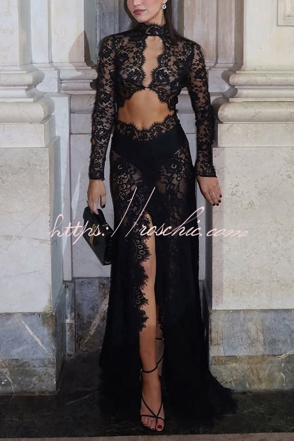 Dark Night Charm Sheer Lace Cutout Long Sleeve Stretch Maxi Dress – roschic