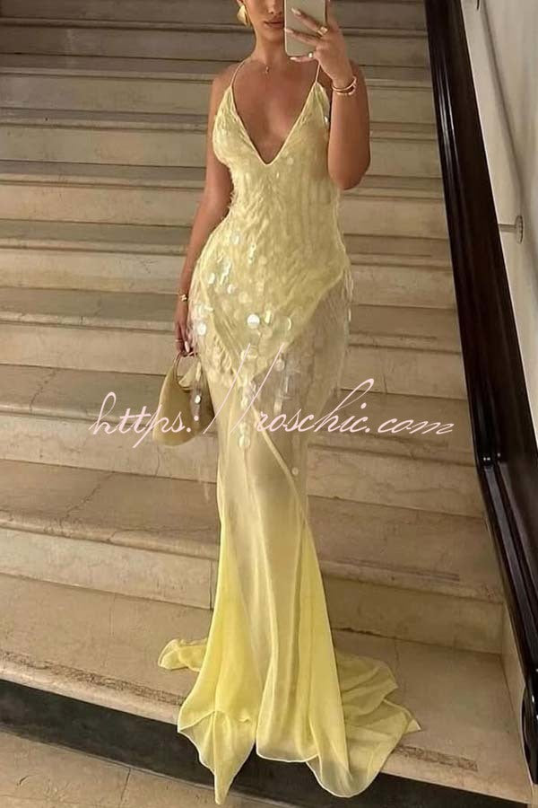 Perfect Night Sequin Embroidery Backless Drape Tulle Hem Slip Maxi Dress