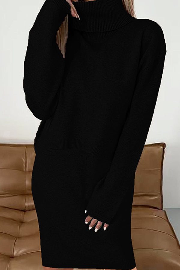 Solid Color Turtleneck Sweater and Knee Length Dress Set