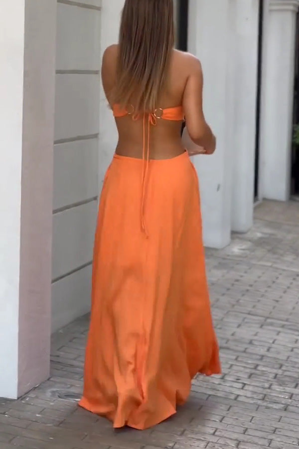 Sexy Halter Neck Backless Sleeveless Maxi Dress – roschic