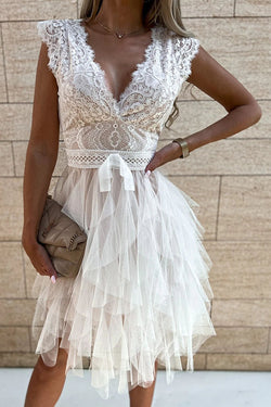 Infinite Beauty Lace Tulle Mini Dress