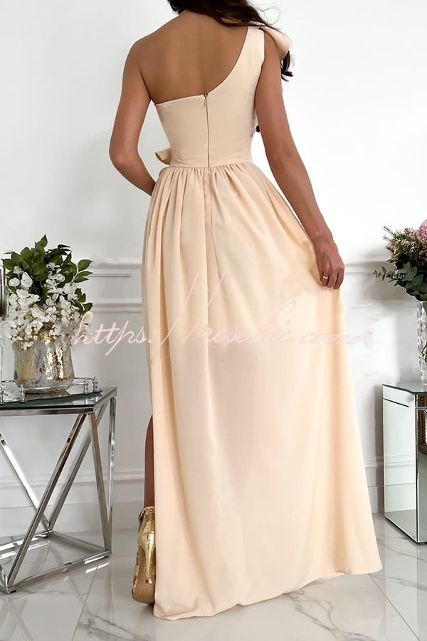 Darling Muse Ruffle One Shoulder Maxi Dress